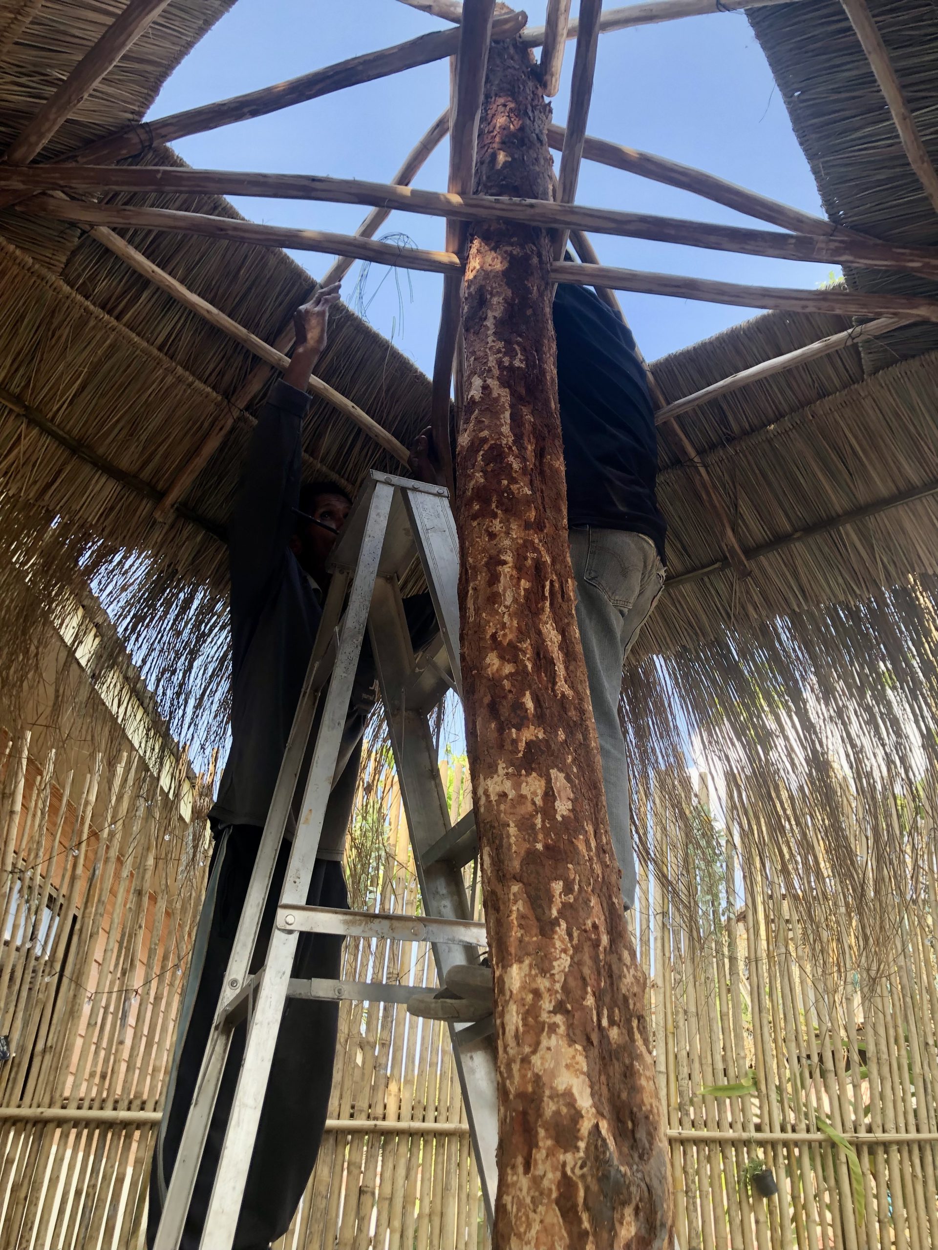 Closing the bamboo roof